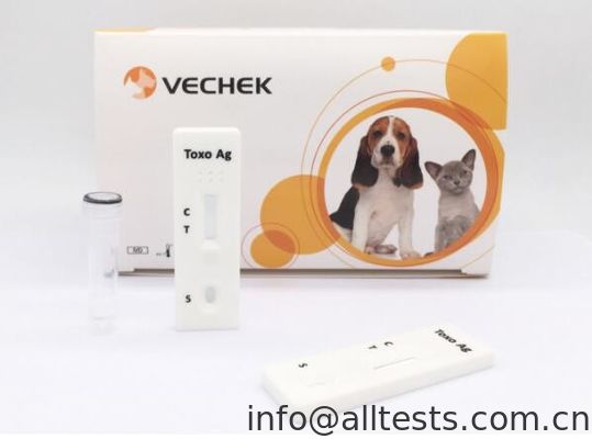 ราคาดี การทดสอบ Assay อย่างรวดเร็วในขั้นตอนเดียวของสุนัข Toxoplasma Gondii Ag Test Long Life ออนไลน์