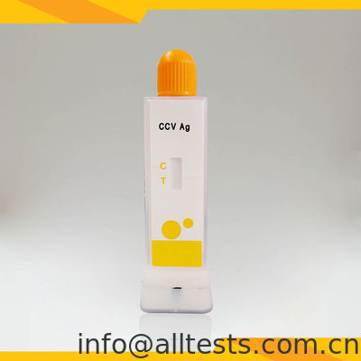 ราคาดี ชุดตรวจแอนติเจนสุนัขโคโรนาไวรัส (CCV) แบบรวดเร็ว 10 นาที สำหรับตรวจในอุจจาระ/อาเจียน โดยใช้อิมมูโนโครมาโตกราฟี ออนไลน์