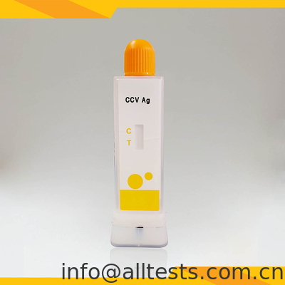 Good price คู่ทดสอบการวินิจฉัยเชื้อไวรัสโคโรนาสุนัขที่เร็ว (CCV Ag) ในหมัก / กลาก ออนไลน์
