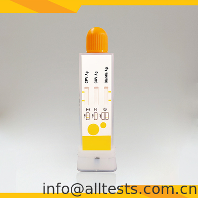 Good price ชุดตรวจวินิจฉัยฉับไวสําหรับ CPV CCV Giardia Lamblia ในขี้ ออนไลน์