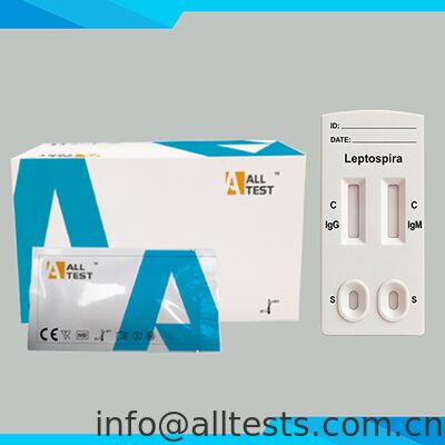 ราคาดี ชุดตรวจ Leptospira IgG/IgM แบบรวดเร็ว อ่านผลใน 15 นาที ได้รับการรับรอง CE สำหรับตัวอย่างเลือดทั้งหมด/ซีรั่ม/พลาสมา ออนไลน์