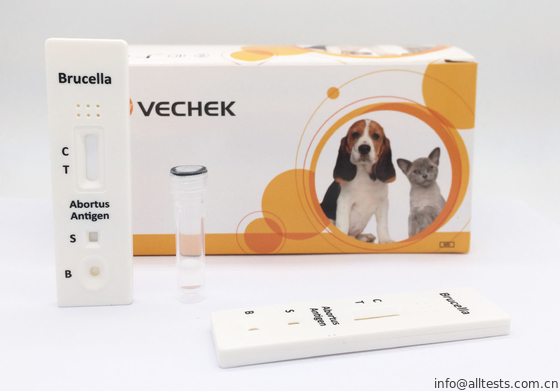 Good price ชุดทดสอบ Bovine Brucella Ag อย่างรวดเร็วด้วยคุณภาพและเบื้องต้น ออนไลน์