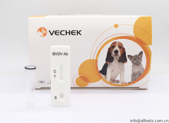 Good price ชุดทดสอบอย่างรวดเร็ว Bvdv Antigen / ชุดทดสอบตัวเอง 24 เดือนระยะเวลา ออนไลน์