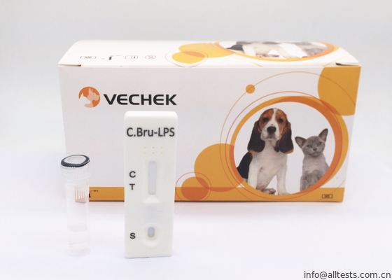 Good price C Bru-Lps แอนติบอดีเทปคาสเซ็ตอย่างรวดเร็วชุดทดสอบอัตราความแม่นยำถึง 98% ออนไลน์