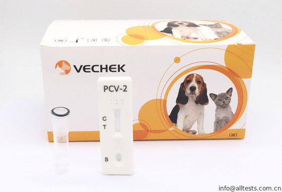 Good price หนึ่งชุด Orcine Circovirus ประเภท -2 ชุดทดสอบการทดสอบแอนติบอดีอย่างรวดเร็วของแอนติบอดี ออนไลน์