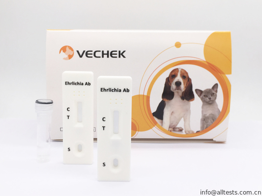 Good price Ehrlichia Canis แอนติบอดีอย่างรวดเร็วเทปคาสเซ็ตทดสอบเลือดอย่างรวดเร็วใช้งานง่าย ออนไลน์
