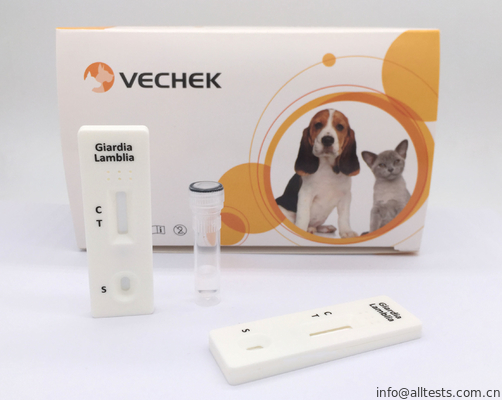 Good price ชุดทดสอบ Rapid Rapid Giardia Antigen Cassette ที่แม่นยำตามรูปแบบของแซนด์วิช ออนไลน์