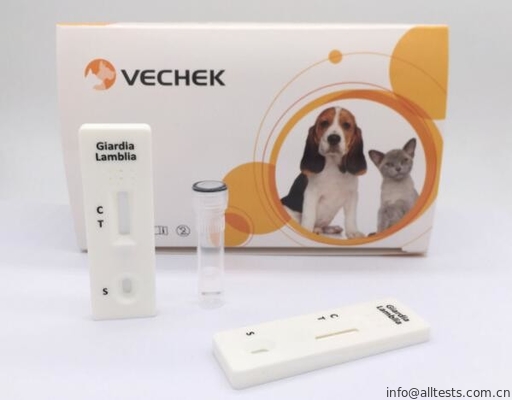 Good price ชุดเครื่องมือวินิจฉัยสุนัขอย่างรวดเร็ว Giardia Lamblia สะดวกสบายเรียบง่ายและรวดเร็ว ออนไลน์