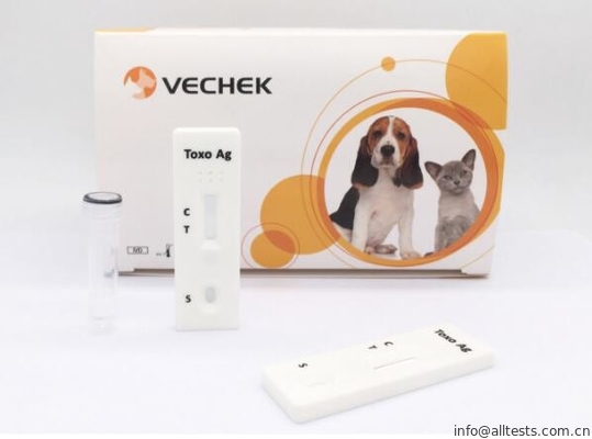 Good price การทดสอบ Assay อย่างรวดเร็วในขั้นตอนเดียวของสุนัข Toxoplasma Gondii Ag Test Long Life ออนไลน์